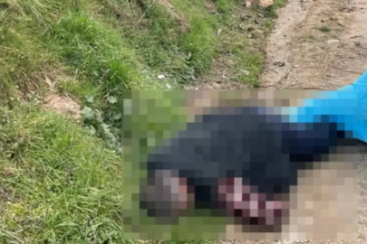 Bursa'da iftar vakti korkunç cinayet! Keserle öldürdü