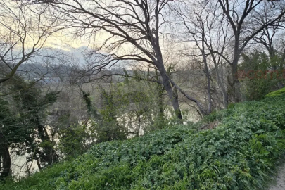 Bursa'da kan donduran olay! Toprağa gömülü bebek bulundu