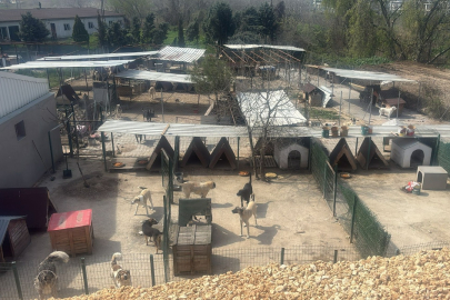 Bademli Köprüsünde Son Engelde Aşıldı!