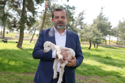 GÜRSU BUTİK HAYVANAT BAHÇESİ YENİ SAKİNLERİNİ AĞIRLIYOR