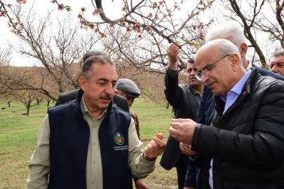 Malatya’da dolu felaketi sonrası yerinde tespit... Yaraları birlikte saracağız