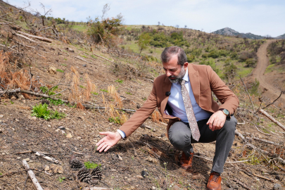 BAŞKAN IŞIK’TAN YEŞİL GÜRSU ÇAĞRISI