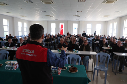 Bursa’da zeytinde yeni dönem... B-Reçete geliyor