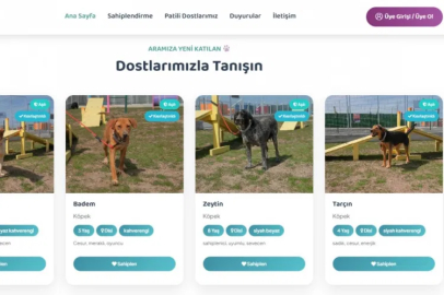 Eskişehir'de sahiplendiren dijital yuva