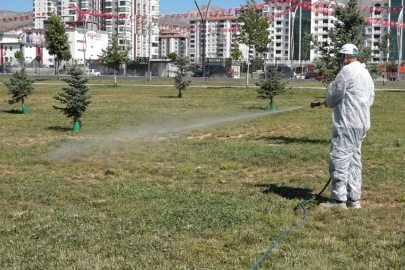 Malatya'da vektörel mücadele sürüyor